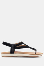 Negru