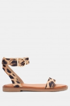 Animal Print