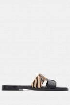 Zebra-Bej
