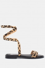 Animal Print