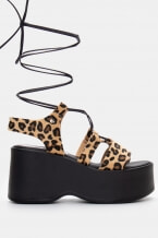 Animal Print