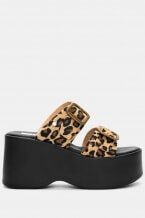 Animal Print