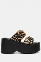 Zebra Bej