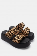 Animal Print