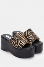 Zebra Bej