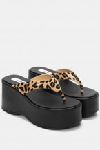 Animal Print