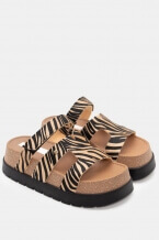 Zebra-Bej