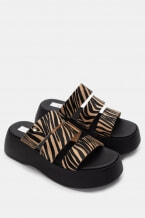 Zebra Bej