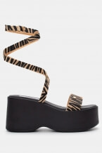 Zebra Bej