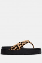 Animal Print