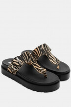 Zebra Bej