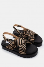 Zebra Bej