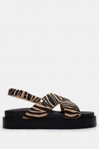 Zebra Bej