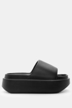Negru