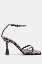 Animal Print