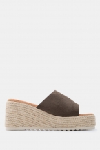 Kaki