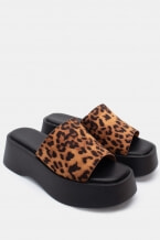Animal Print