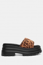 Animal Print