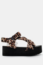 Animal Print