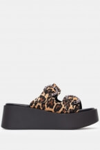 Animal Print