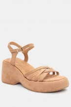Camel
