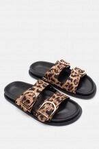 Print Animal