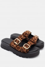Animal Print