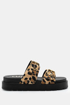 Animal Print