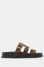 Kaki