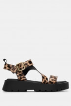 Animal Print