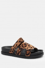 Animal Print