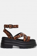 Animal Print