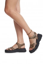 Animal Print