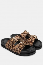 Animal Print